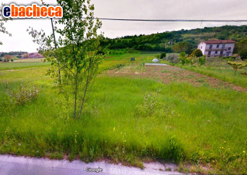 terreno agricolo in vendita a Corridonia