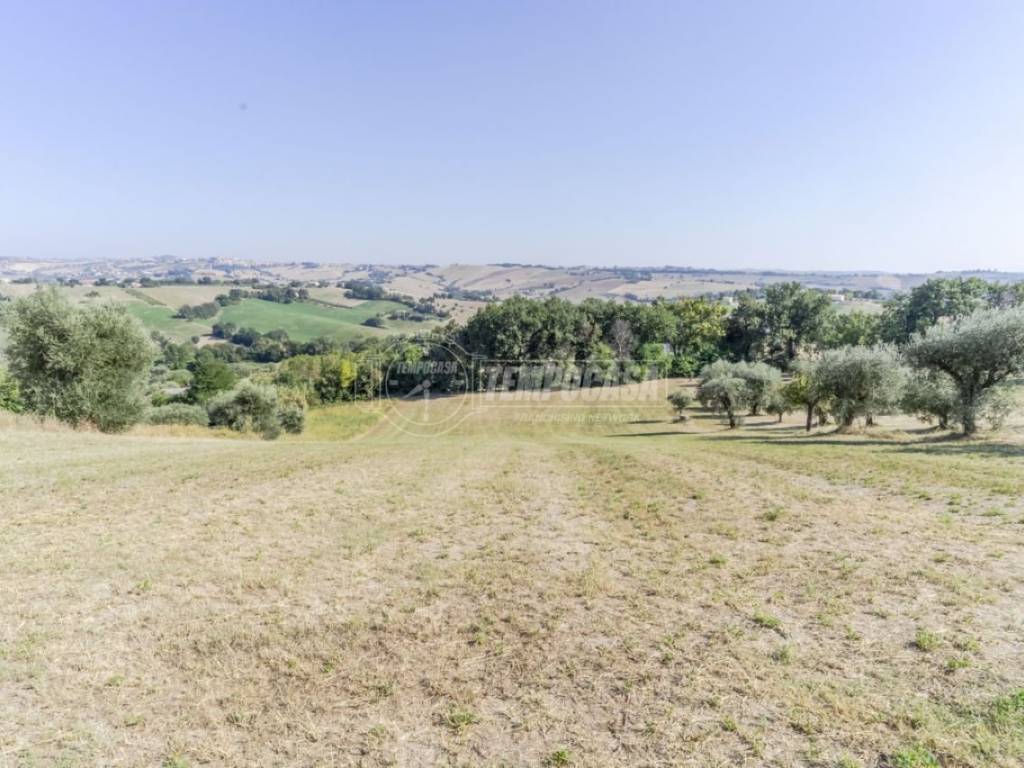 terreno agricolo in vendita a Corridonia