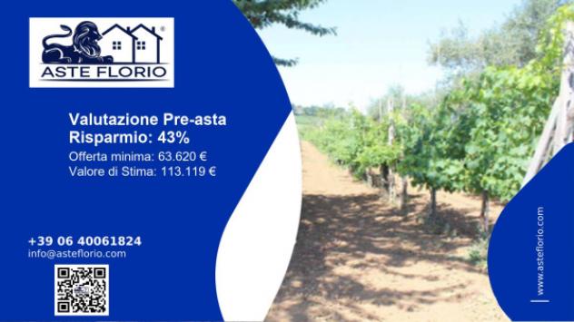 terreno agricolo in vendita a Corridonia in zona Colbuccaro