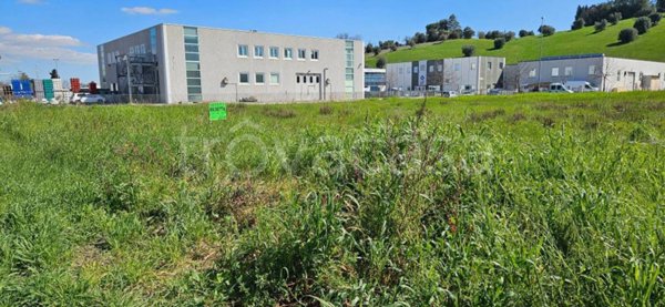 terreno agricolo in vendita a Corridonia