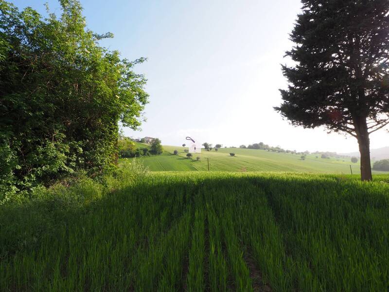 terreno agricolo in vendita a Corridonia