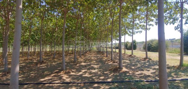 terreno agricolo in vendita a Corridonia