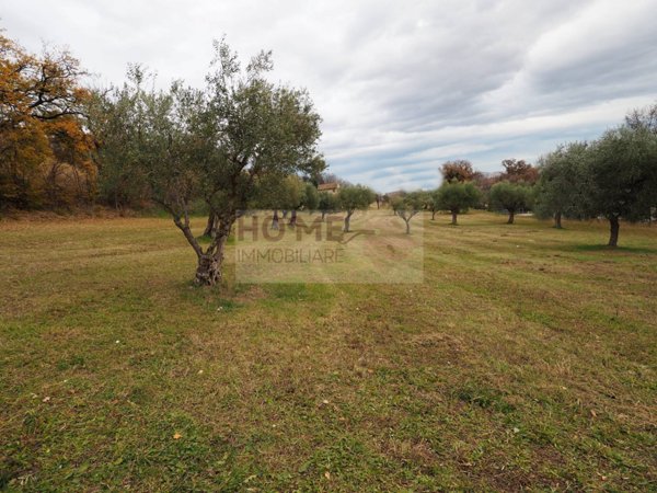 casa indipendente in vendita a Corridonia