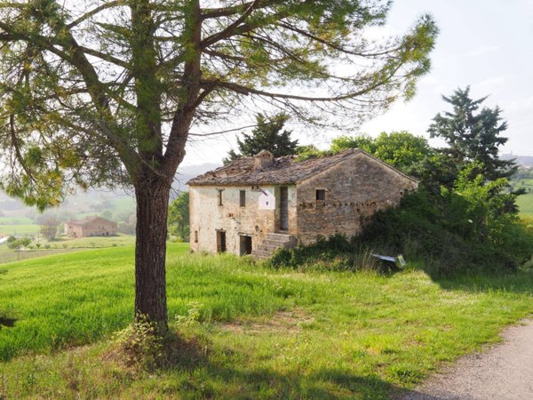 terreno agricolo in vendita a Corridonia
