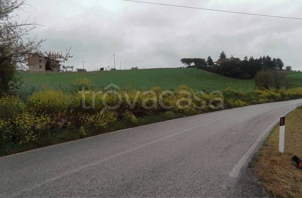 terreno agricolo in vendita a Corridonia