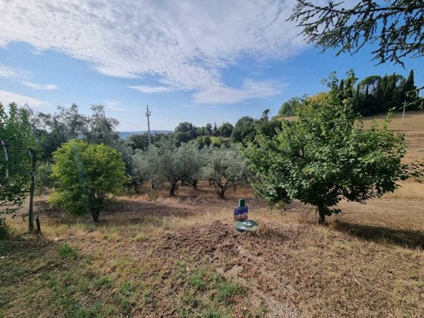 terreno agricolo in vendita a Corridonia