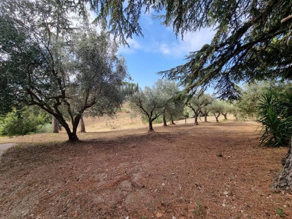 terreno agricolo in vendita a Corridonia
