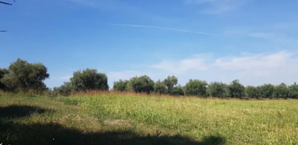 terreno edificabile in vendita a Corridonia