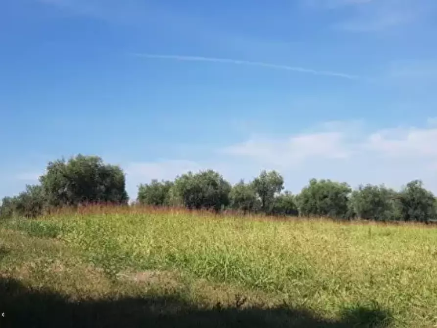 terreno edificabile in vendita a Corridonia