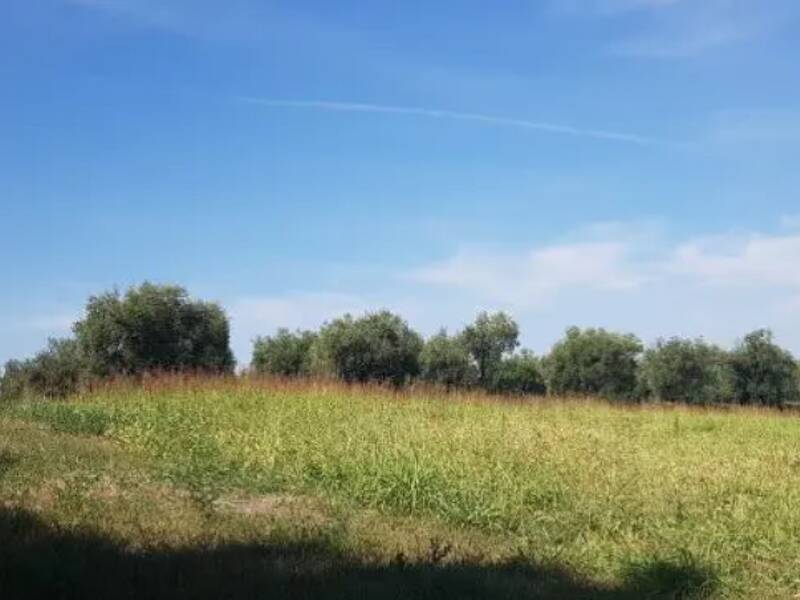 terreno edificabile in vendita a Corridonia