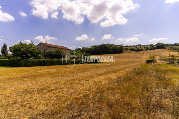 terreno agricolo in vendita a Corridonia
