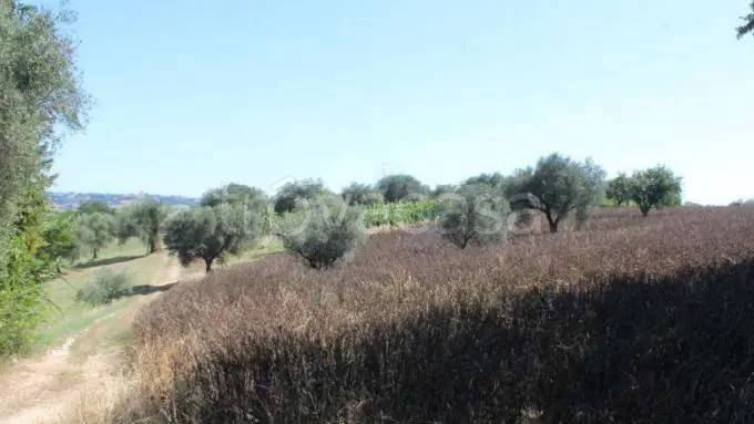 casa indipendente in vendita a Corridonia in zona Colbuccaro