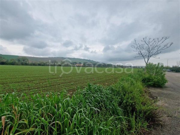 terreno agricolo in vendita a Corridonia