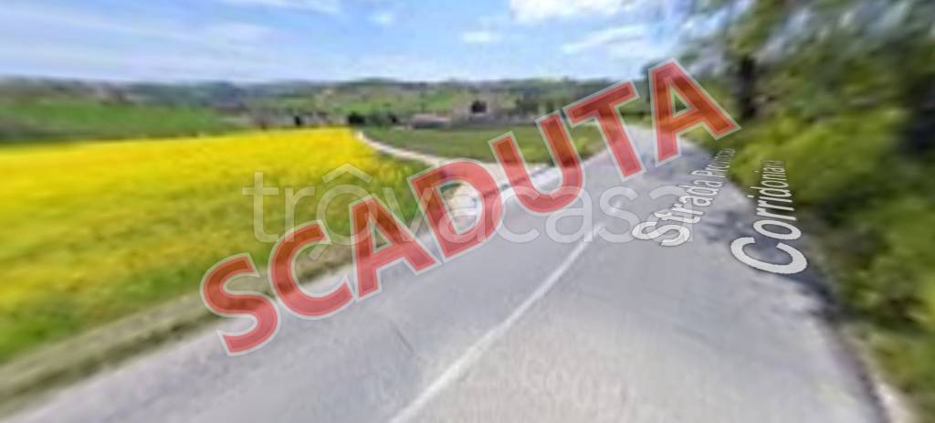 negozio in vendita a Corridonia