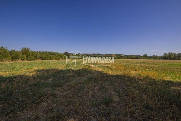 negozio in vendita a Corridonia