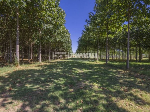terreno agricolo in vendita a Corridonia
