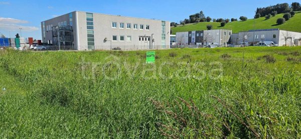 terreno agricolo in vendita a Corridonia