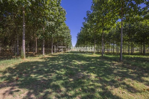 terreno agricolo in vendita a Corridonia