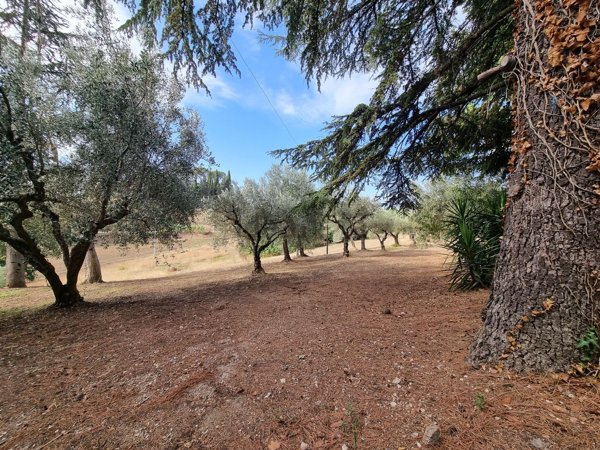 locale di sgombero in vendita a Corridonia