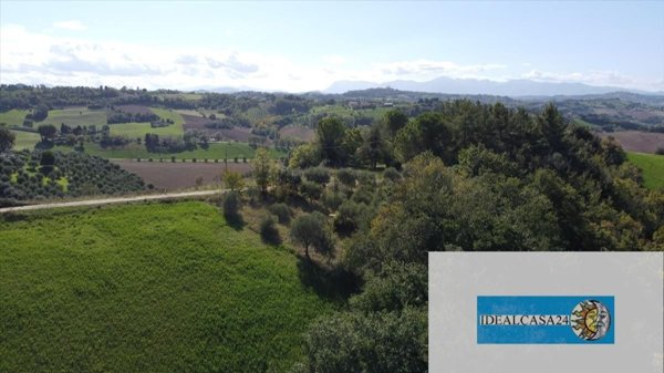 terreno agricolo in vendita a Corridonia