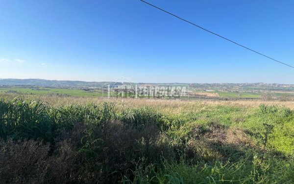 terreno agricolo in vendita a Corridonia