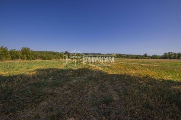 terreno agricolo in vendita a Corridonia