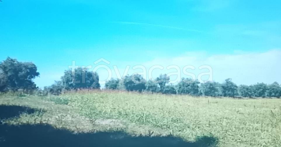 casa indipendente in vendita a Corridonia