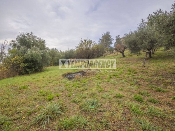 terreno agricolo in vendita a Corridonia