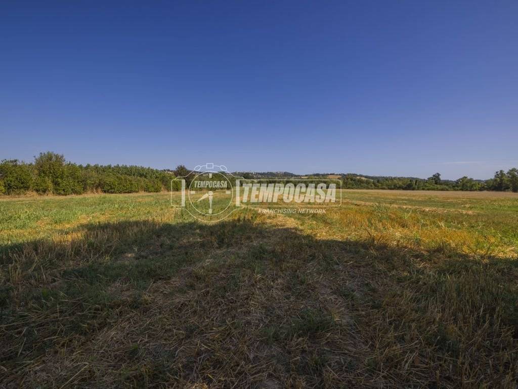 terreno agricolo in vendita a Corridonia in zona Colbuccaro