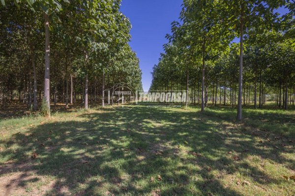 terreno agricolo in vendita a Corridonia in zona Colbuccaro
