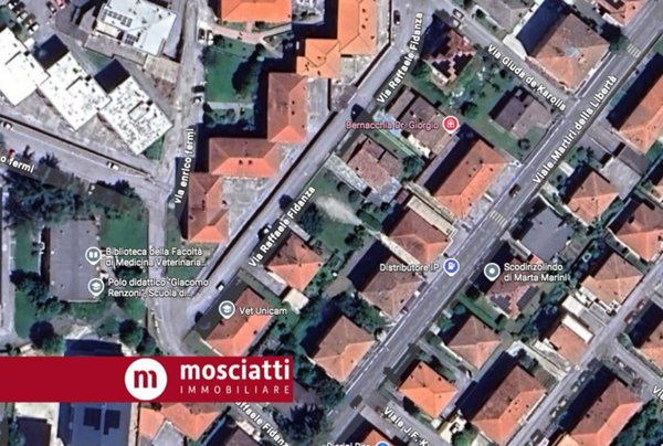casa indipendente in vendita ad Esanatoglia