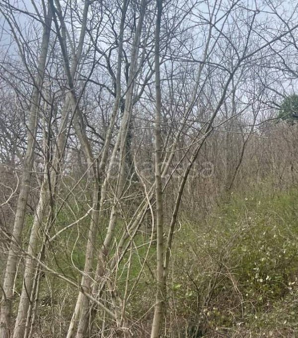 terreno edificabile in vendita a Fiuminata in zona Vallibbia