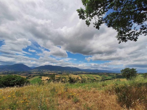 terreno agricolo in vendita a Gagliole