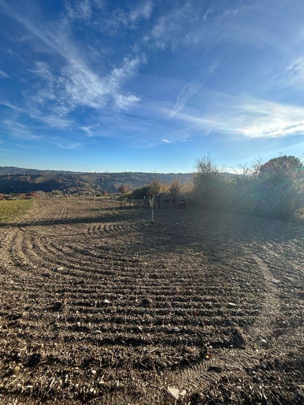 terreno agricolo in vendita a Loro Piceno