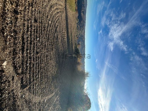terreno agricolo in vendita a Loro Piceno