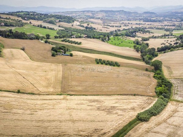 terreno agricolo in vendita a Macerata