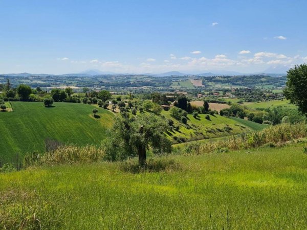 terreno agricolo in vendita a Macerata
