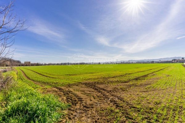 terreno agricolo in vendita a Macerata in zona Piediripa