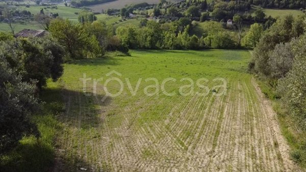 terreno agricolo in vendita a Macerata in zona Santo Stefano