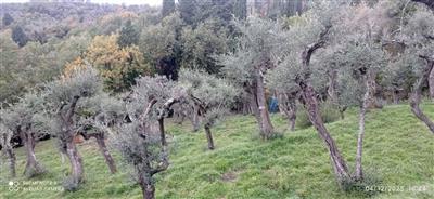 terreno edificabile in vendita a Macerata