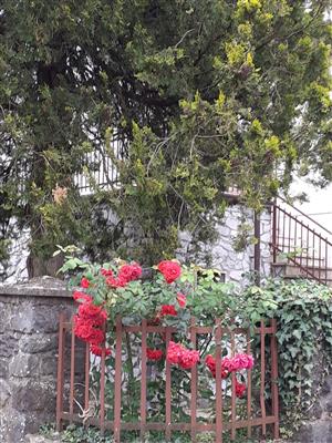 casa indipendente in vendita a Macerata