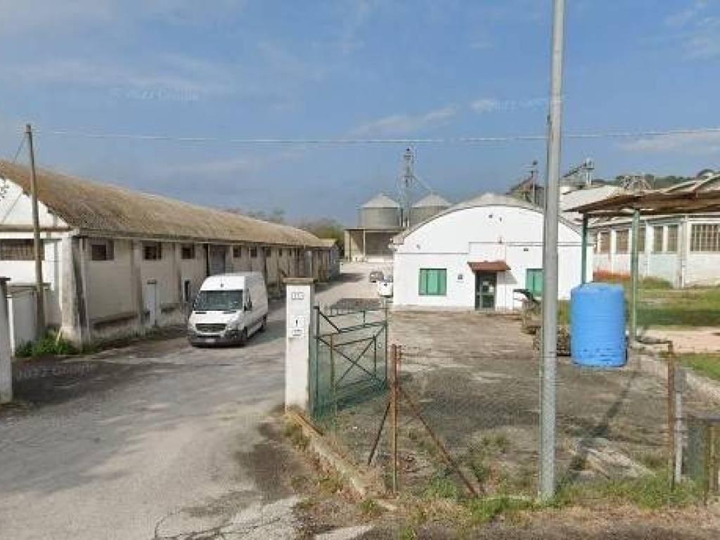 terreno edificabile in vendita a Macerata in zona Piediripa
