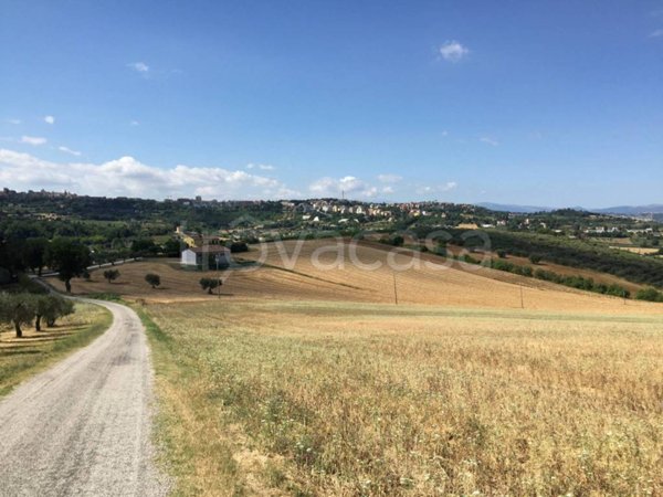 terreno agricolo in vendita a Macerata