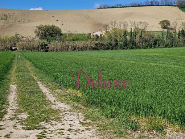 appartamento in vendita a Macerata in zona Piediripa