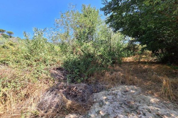 casa indipendente in vendita a Macerata
