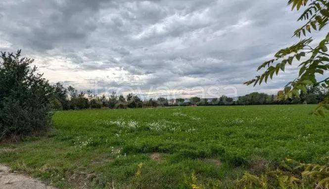 terreno agricolo in vendita a Macerata