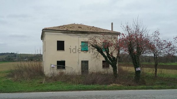 esavano in vendita a Macerata