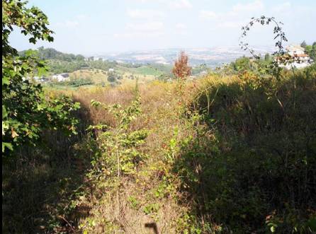 terreno edificabile in vendita a Macerata
