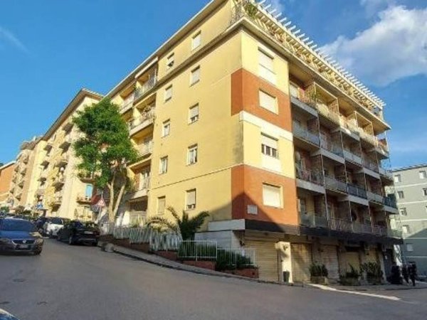 appartamento in vendita a Macerata