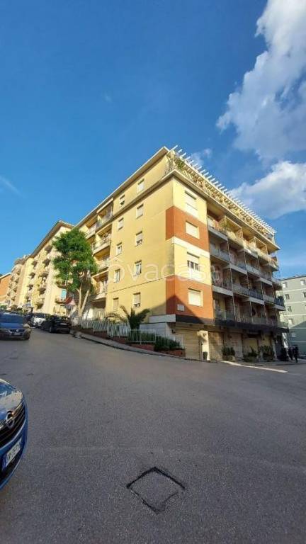appartamento in vendita a Macerata